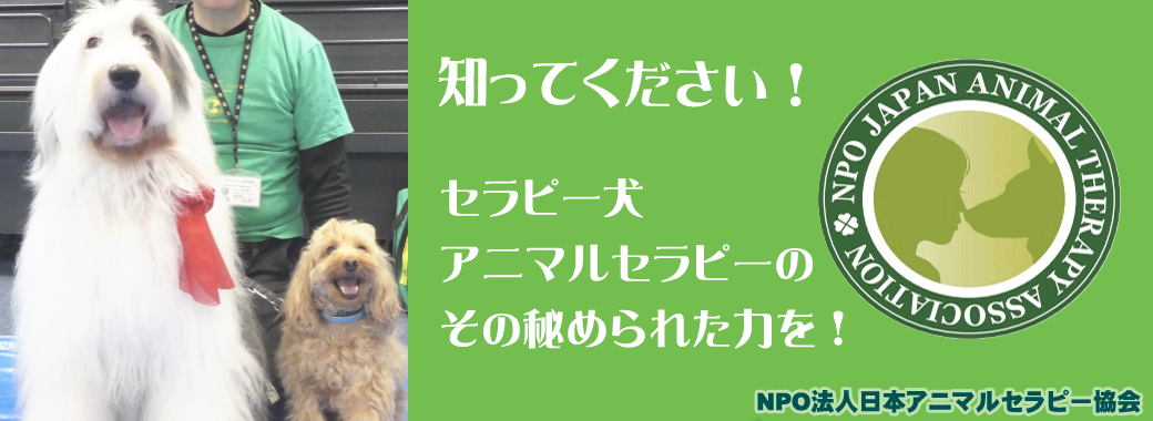 当協会のセラピー犬たちです 当協会のセラピー犬たちです