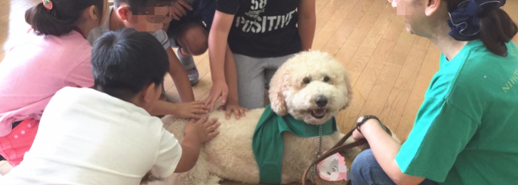 当協会のセラピー犬達です 当協会のセラピー犬達です